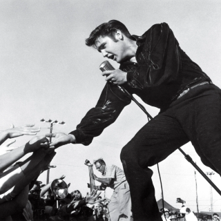 https://firstortho.co.uk/wp-content/uploads/2025/02/elvis.png